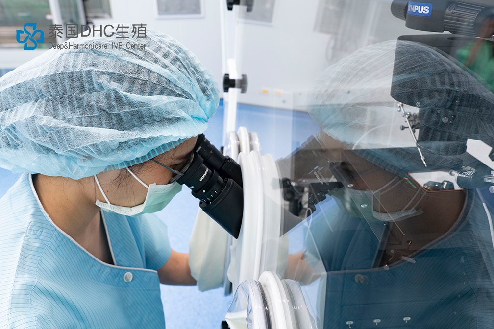 24萬泰銖冷凍卵子套餐