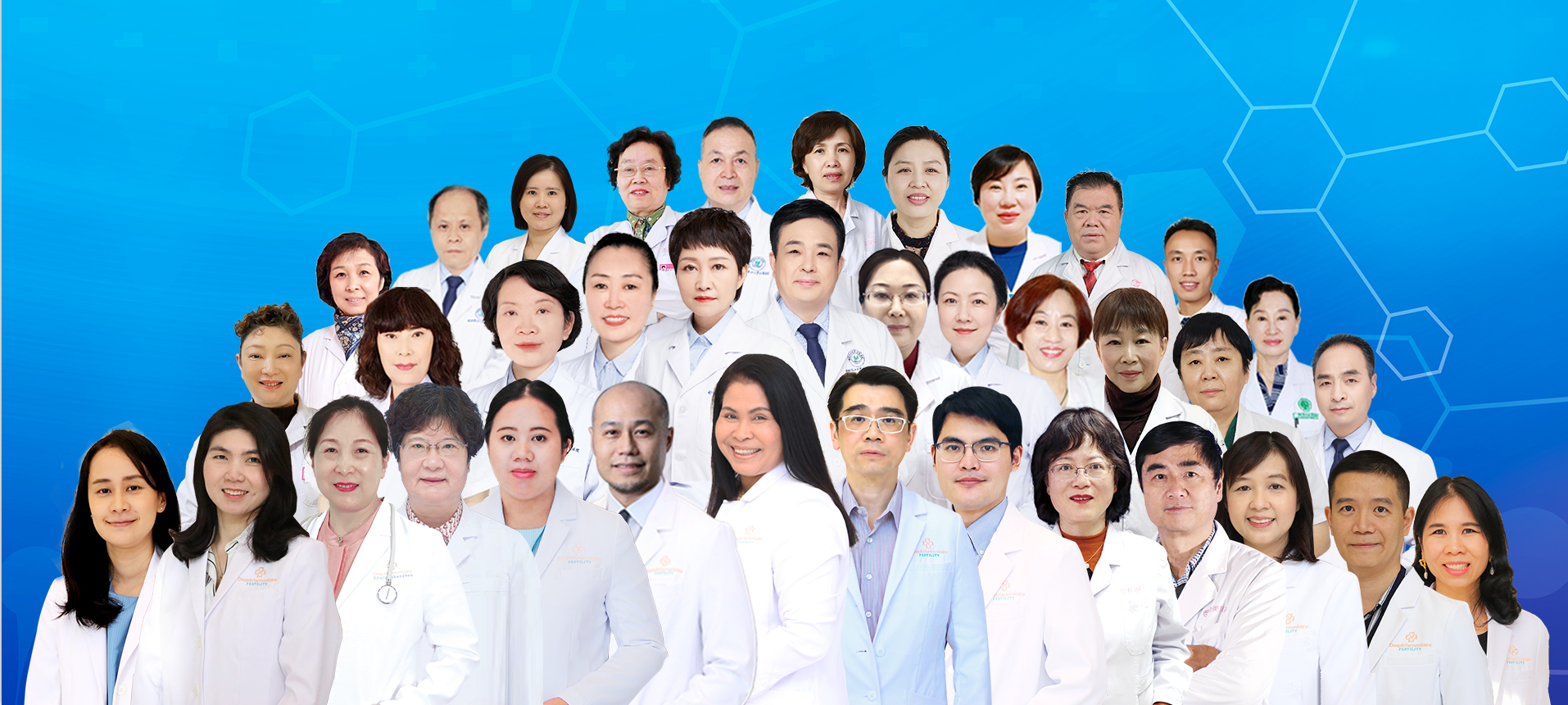 醫(yī)生陣容 醫(yī)生陣容