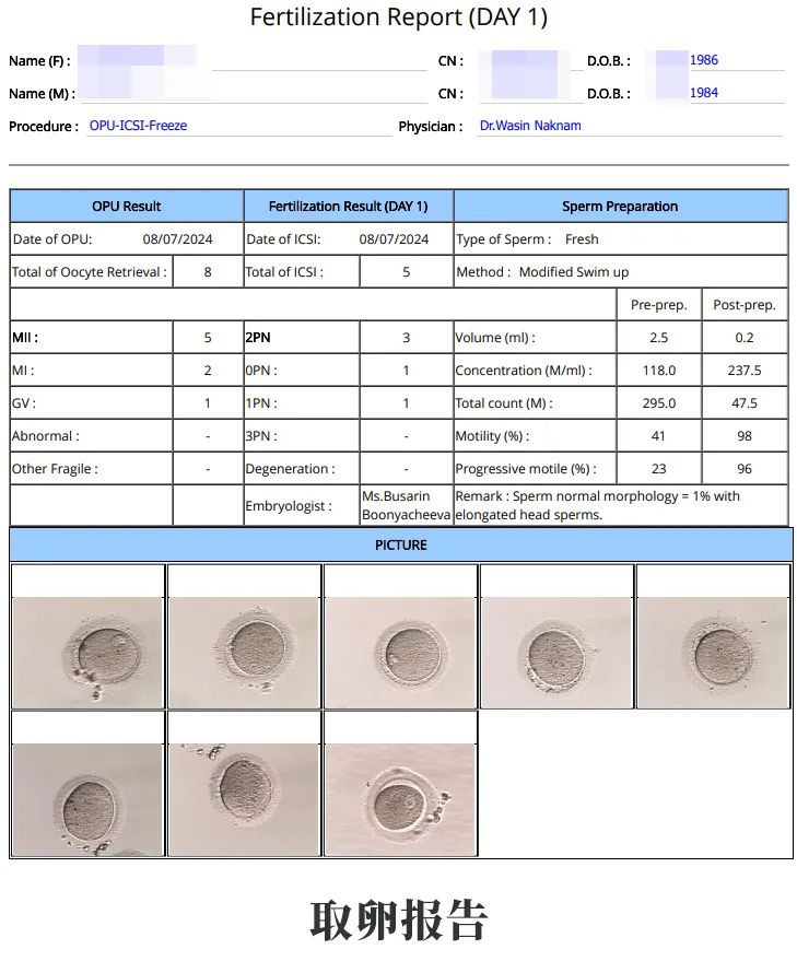 取卵報(bào)告 取卵報(bào)告