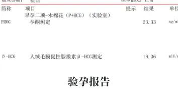 驗(yàn)孕報(bào)告 驗(yàn)孕報(bào)告