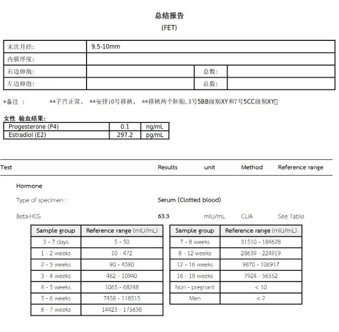 總結(jié)報(bào)告 總結(jié)報(bào)告